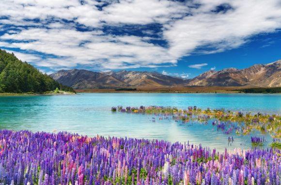 Te Anau Manapouri Lake Hotel Buitenkant foto